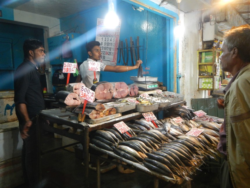 Fish stall