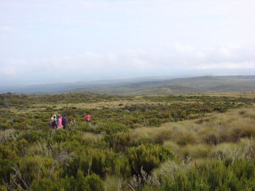 Trekking Mount kenya Routes