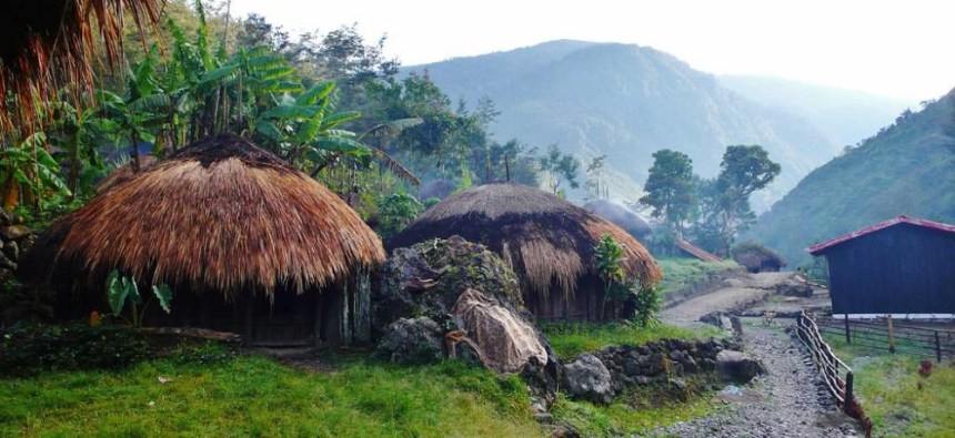 Houses in Baliem Valley in Papua