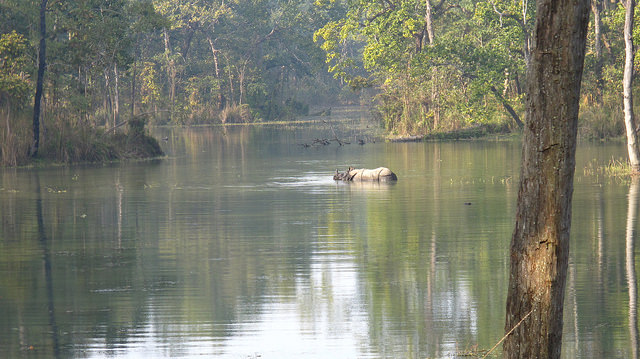 Chitwan National Park