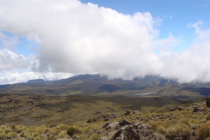 Mount Kenya Snow Peaks-Budget Adventure Tours By YHA Kenya Travel