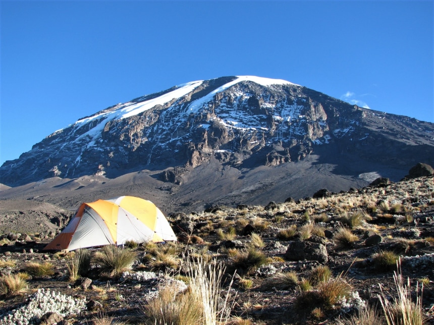 Nature and Kilimanjaro