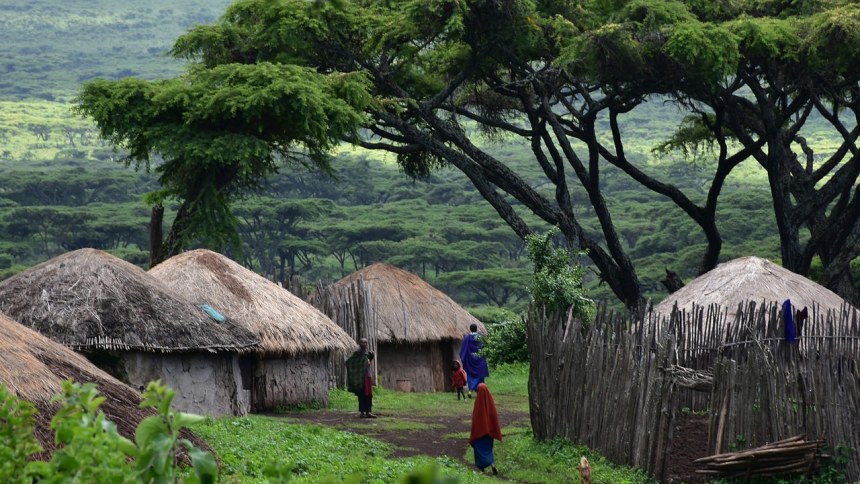Maasai social life in Ngorongoro crater