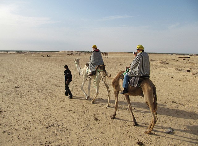 Camel Tours