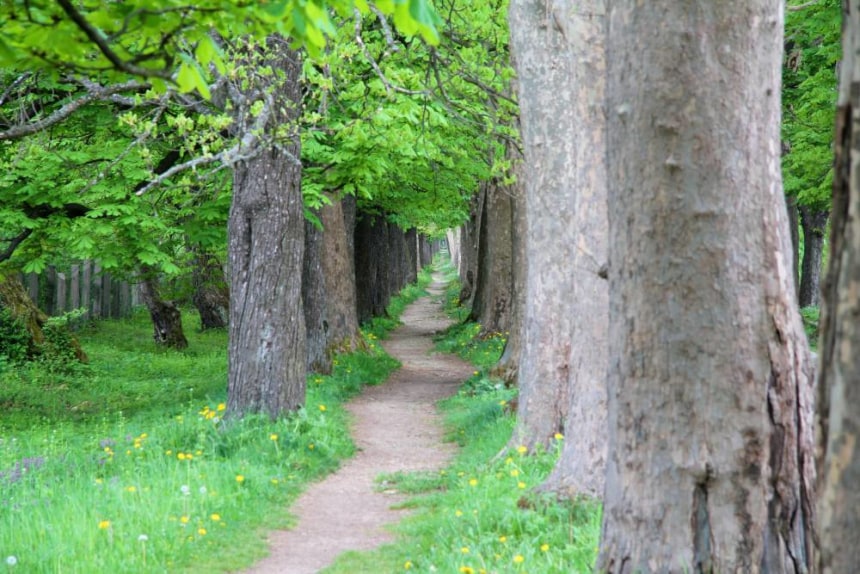 Woodlands of Vrelo Bosne
