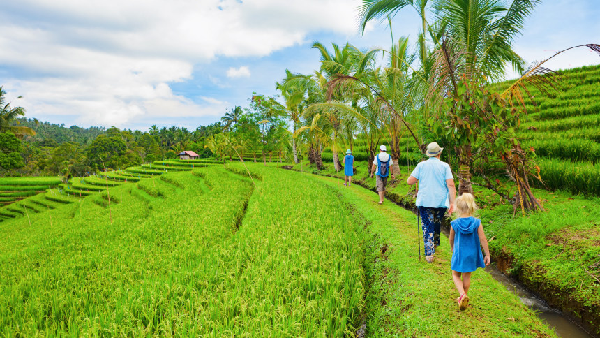 Walk in Paddy Plantation in Bali