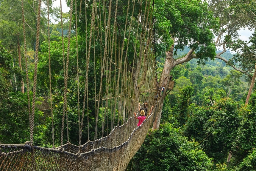 Kakum National Park canopy walk