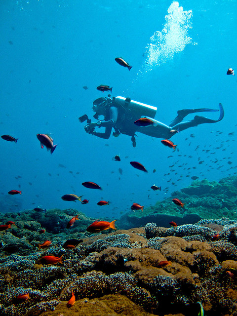 Diving and Snorkeling in Nusa Penida