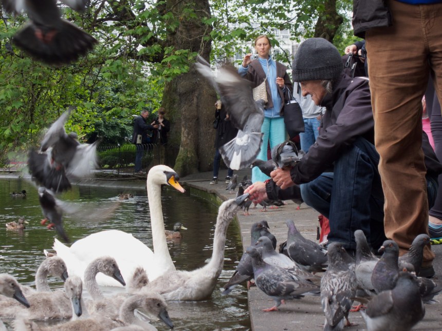 St. Stephen&rsquo;s Green Park