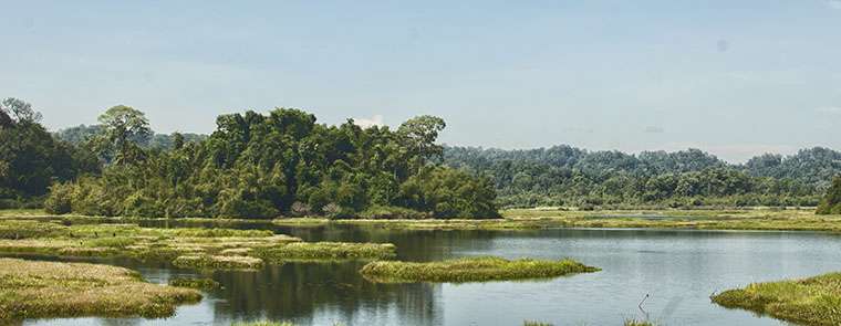 Bau Sau, Cat Tien National Park