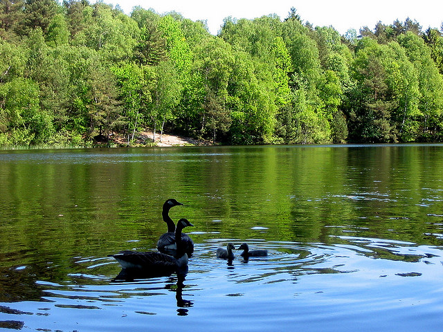 Delsjön Nature Reserve