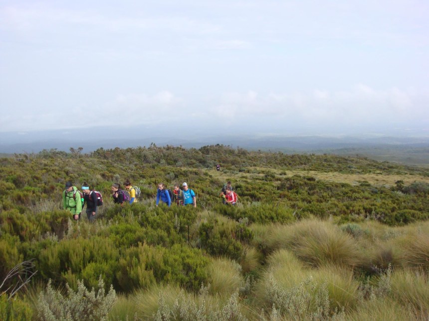 Group Trekking Mount kenya Routes