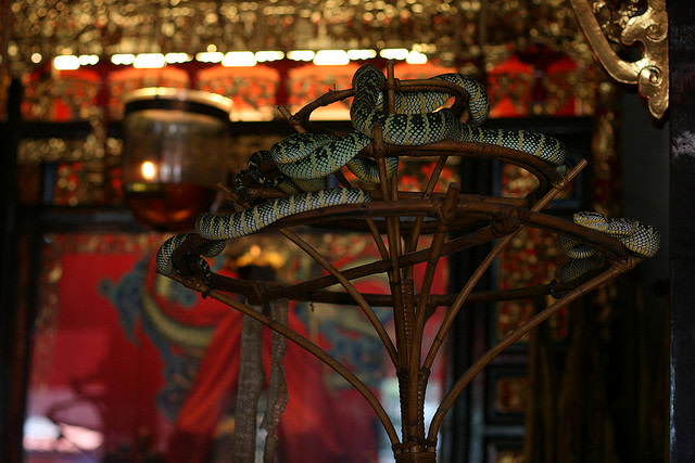 Snake Temple