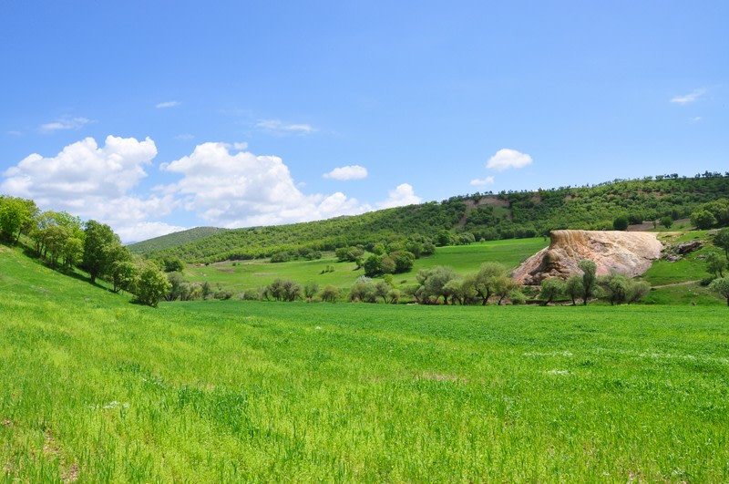 The Green Plains Near the Spring.