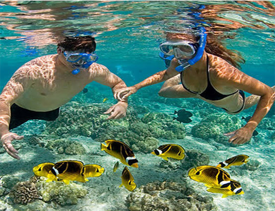 Mnemba Island Full Day Group