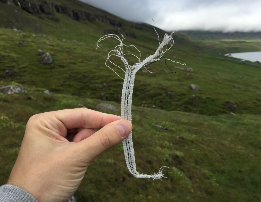 An exhibit from 'Collection'- a live art exhibition that took place at LungA festival 2015