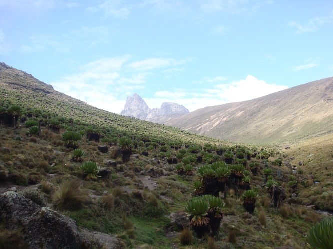 Climb Mount kenya to the Peaks