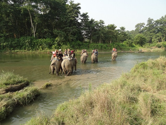 Elephant ride through Chitwan National Park