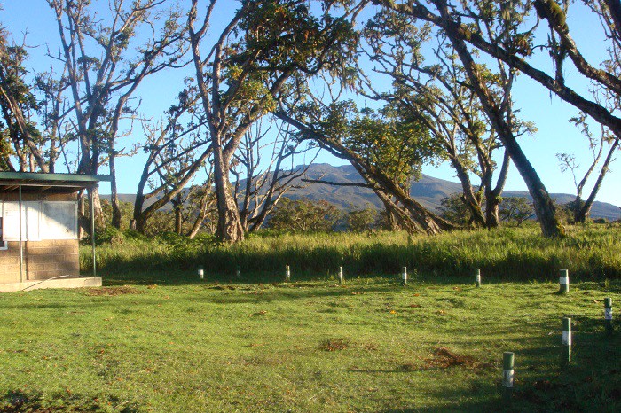 Mount Kenya Adventure Climbing Route