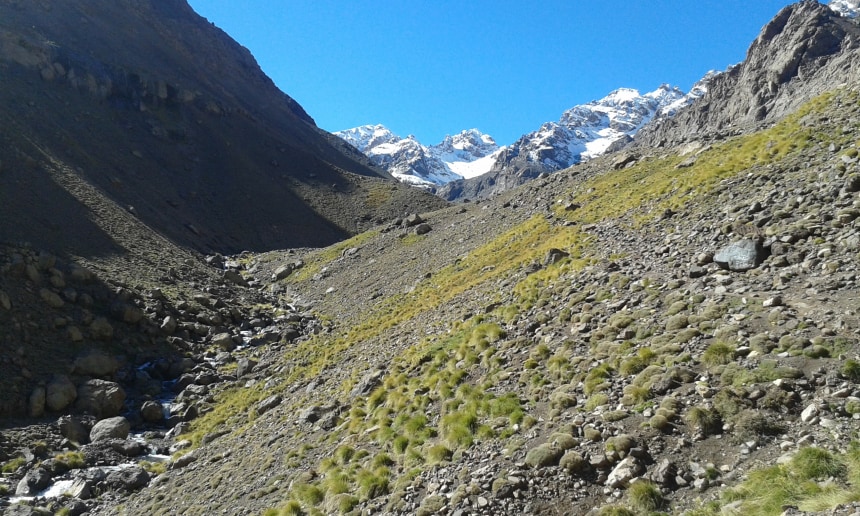 mount toubkal trek