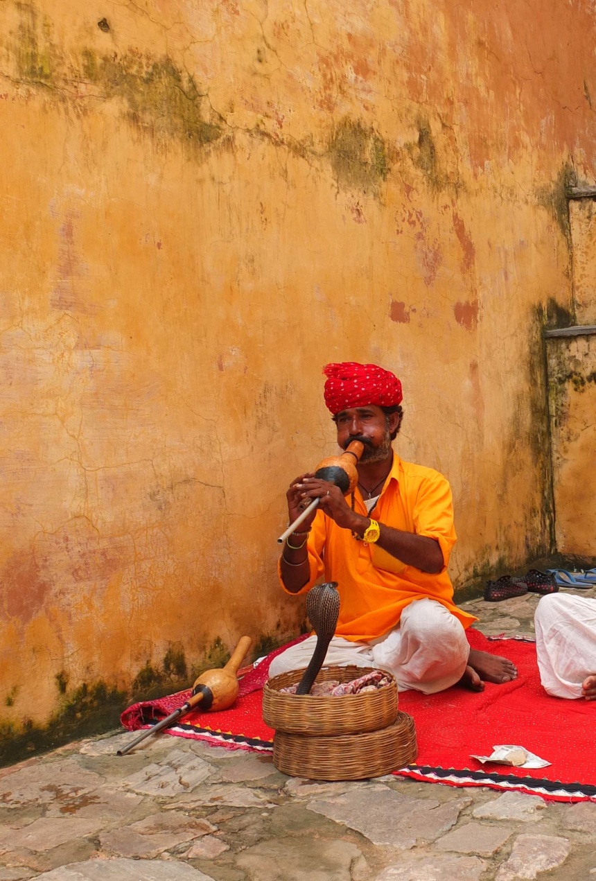 Snake Charmer in Rajasthan