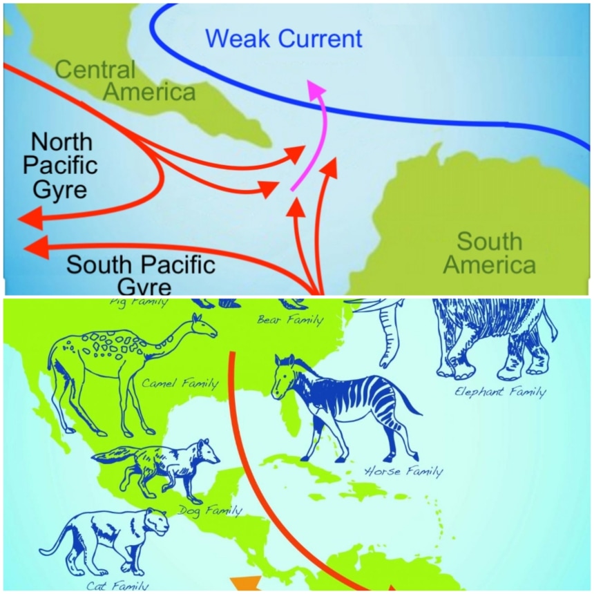 Great American Interchange