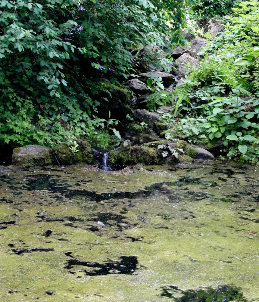 Mud use in Spas of Piestany