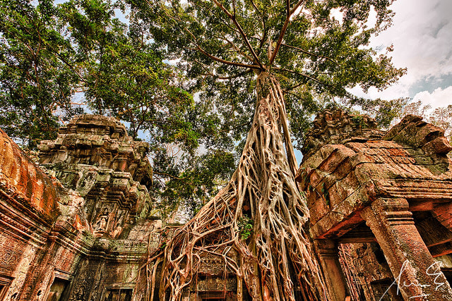 Ta Prohm