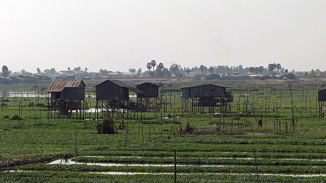 Stilt houses in the Morning Glory fields