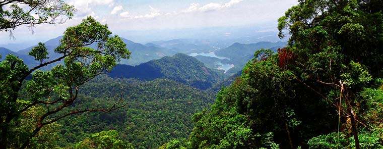 Bach Ma National Park