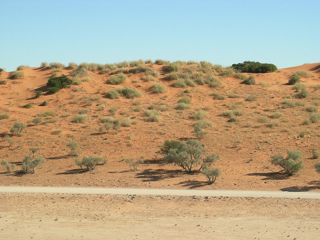 Kgalagadi-Transfrontier-Park