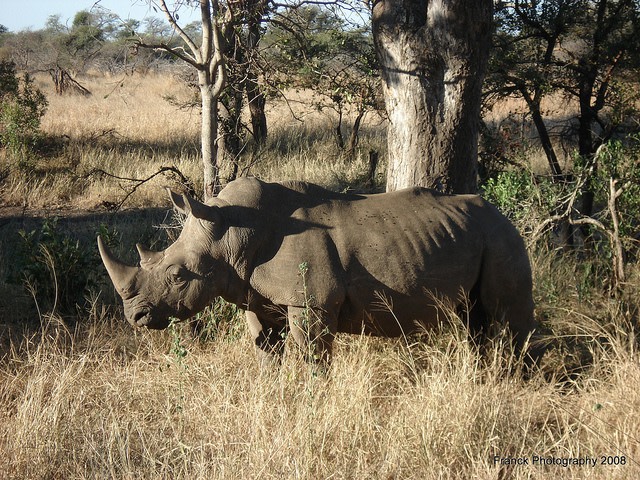 Kruger-National-Park