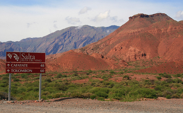 Road to Cafayate Wineries