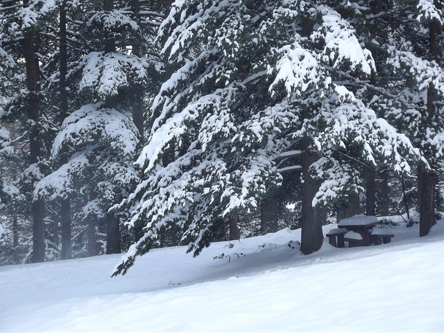 National Park Pelister