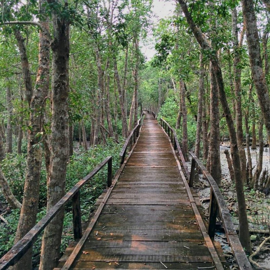 Sundarbans walking route