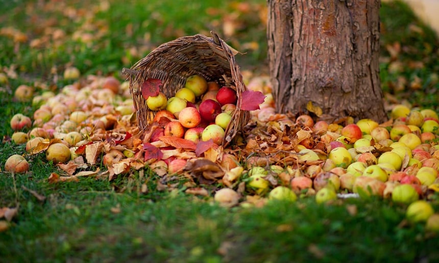 Garden of Shangrila resorts. — S.M.Bukhari