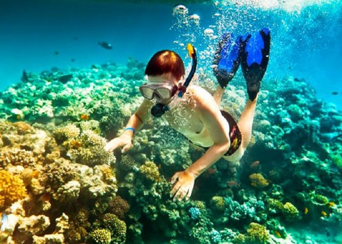Snorkelling 
