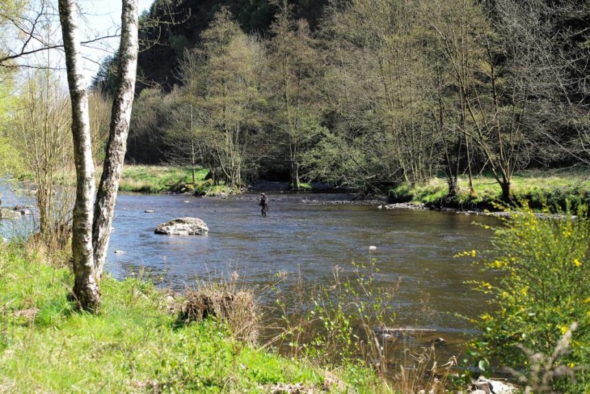 Fly-Fishing in the Ambleve River