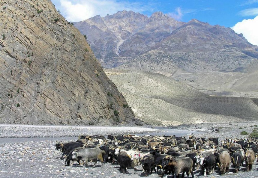 Mustang Scenic Region