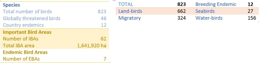 Vietnam birds sumary