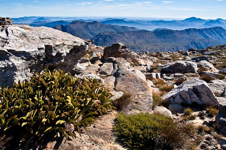 Cederberg-Wilderness-Area