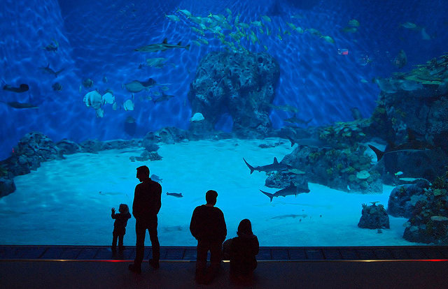 The Blue Planet Oceanarium