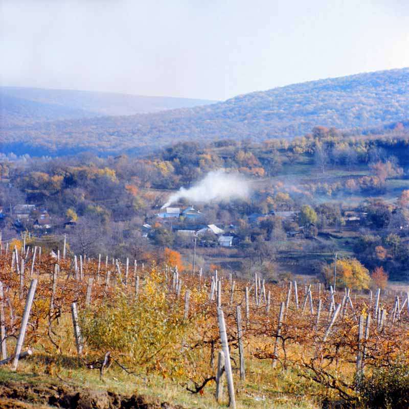 Codri, the surroundings of Capriana
