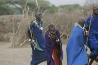 Masai dancers share a laugh in a village near Ngorongoro Crater Conservation area in Tanzania, Africa.