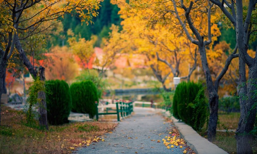 Inside Shangrila.  — S.M.Bukhari