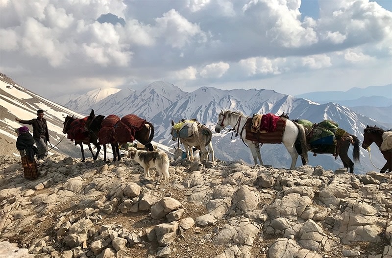 Iran Nomad Odessey; On Their Way to Summer Pastures