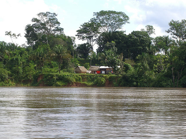 Tambopata River Amazon Brazil