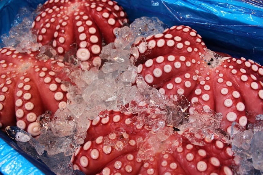 Octopus at Tsukiji market
