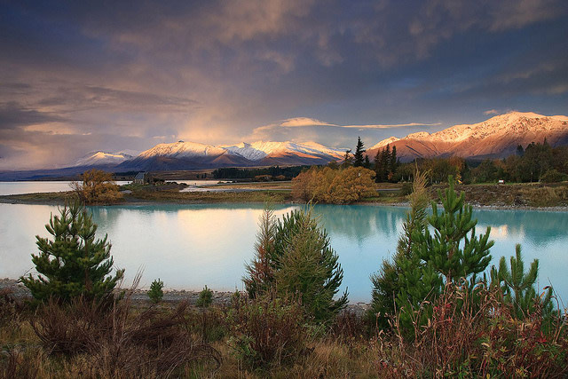 Nature Show in New Zealand