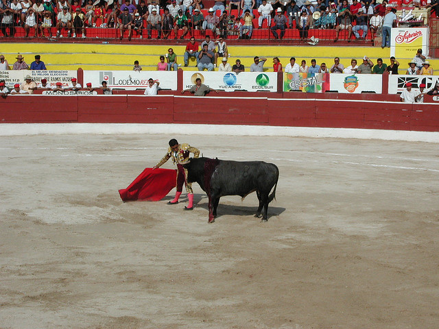 Bull Fight in Merida